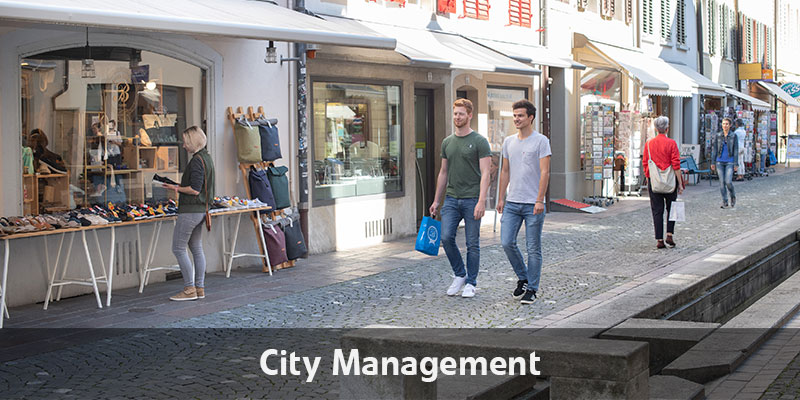 images/startseite/800x400px_city_management.jpg#joomlaImage://local-images/startseite/800x400px_city_management.jpg?width=800&height=400
